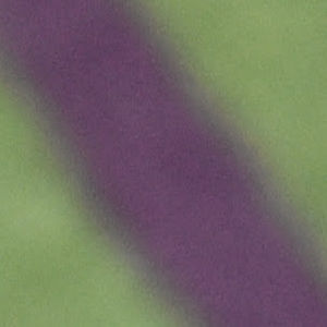 Meet your Posher, Charlie